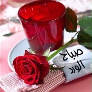 Meet your Posher, Amal